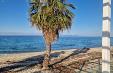 Sea Breeze - Foto 18