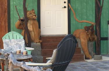 Epic View Hot tub National forest - Foto 29