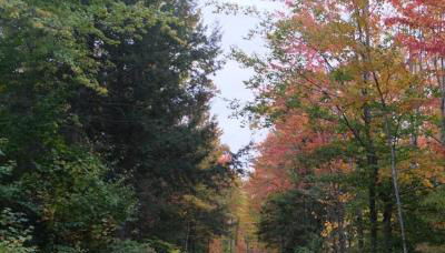 Cedar Shores Lakehouse - Foto 5