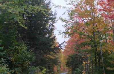 Cedar Shores Lakehouse - Foto 5