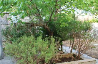 Buen Retiro - Casa Vacanze - Foto 26