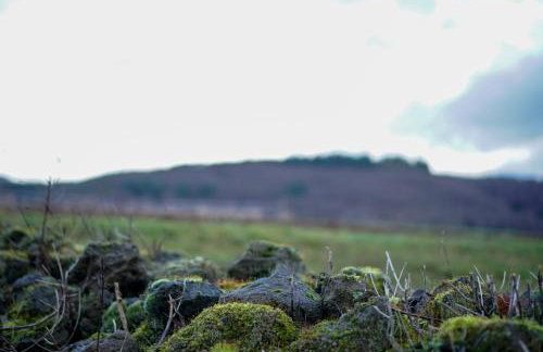 Kelbergerly Hills - Photo 25