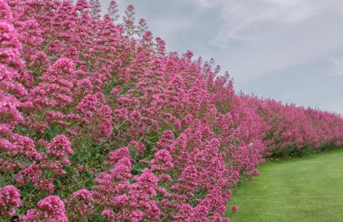 Greenside Studio - Photo 27