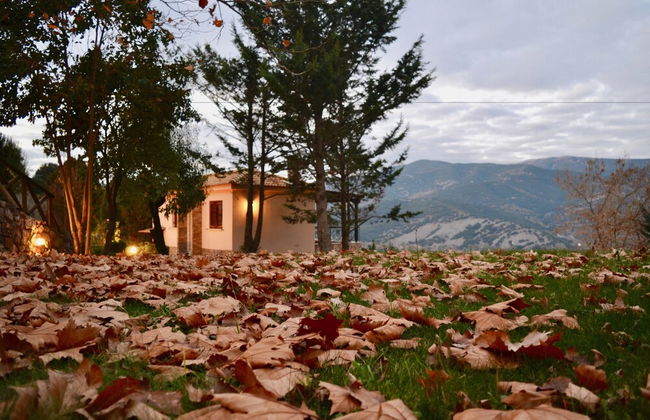 Finday Eco Boutique Hotel - Foto 38