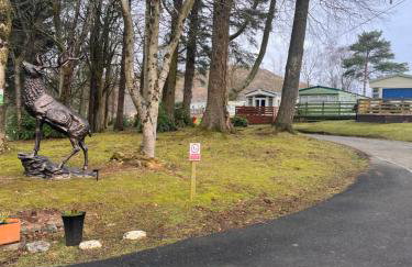 JS Holidays The Westmorland Lagganhouse - Foto 56