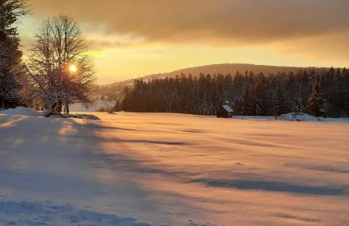 Blockhaus am Baumwipfelpfad - Foto 53