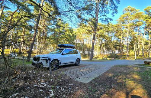 Pink und Meer - Foto 33