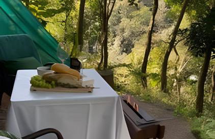 KORU Studio - Conforto na Serra - Foto 12