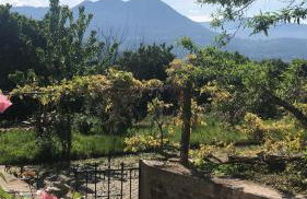 Turra Nature House - Foto 17