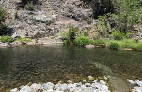 1870s Stained Glass Nostalgia - Foto 21