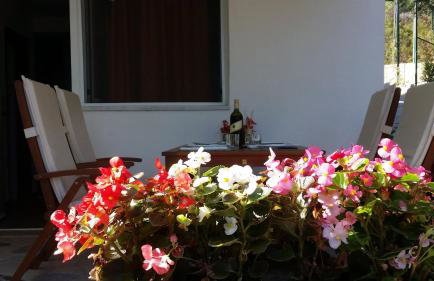 Apartments Jurica - Foto 2