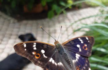 Domek nad Bugiem z Sauną - Foto 49