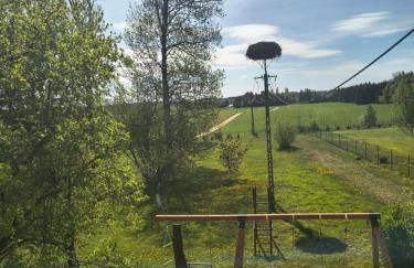 DOM w JESIONACH Brajniki - działka 1 HEKTAR - Photo 58