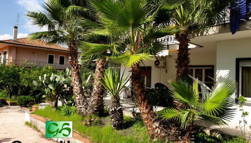 Greenhouse - Photo 2