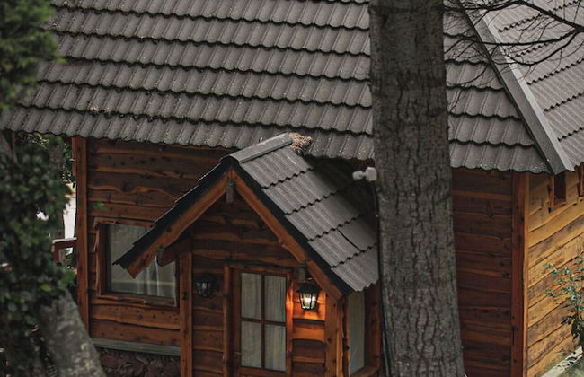 Cocos Cura Casas de Montaña - Photo 39