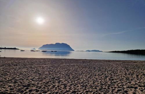 AffittaSardegna - Casa il Giardino dell'Erica - Foto 27