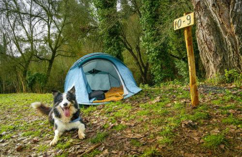 Batán de las Monjas - Foto 62