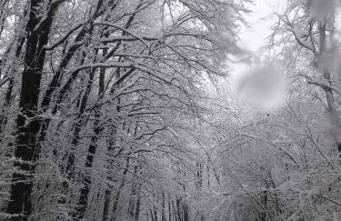 Kuća za odmor Anita - Foto 35