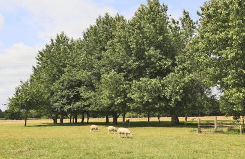 3 Bed in Barsham oc-bbarn - Photo 16