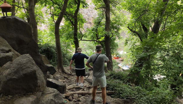 Forests in the Atlas Mountains