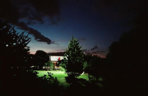 Agriturismo il Podere Vedelago con San Bernardo, Alpaca e una Pentola di cose da scoprire - Foto 11