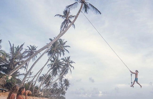 Sana Guest - Photo 33