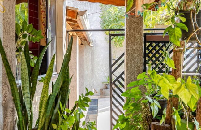 San Gonzales - Foto 26