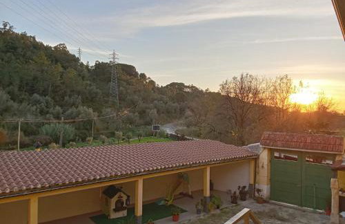 Df Alojamentos e Suites - Photo 31