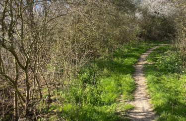 Ferienhaus - 135 qm - 3 SZ - 2 Terrassen - Nähe Insel Poel Ostsee - Foto 48