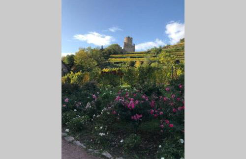 Coeur Alsace - Foto 40