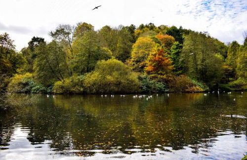 'The Loft' - Foto 29