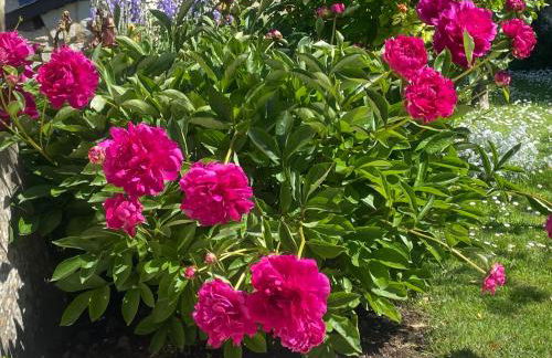 Logis huit clos calme et romantique proche Saumur - Photo 6