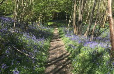 Pooks Rest - Foto 14