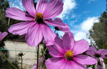 Encanto en el Moncayo - Photo 10