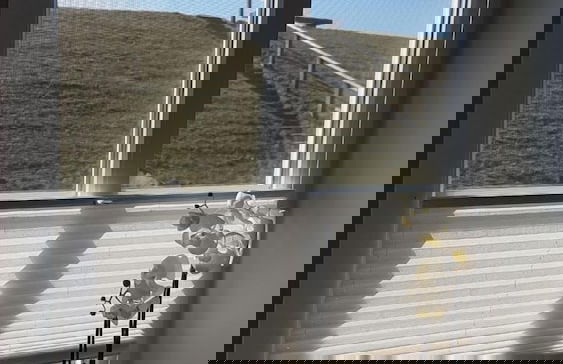 Haus Hemenswarft - Foto 59