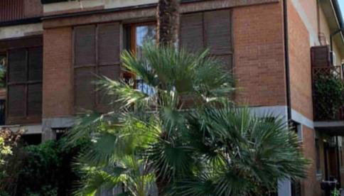 Casa Luciana, la tua casa al mare - Foto 2