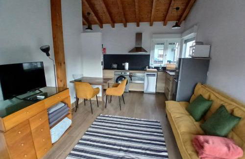 Mirando a los Picos de Europa - Foto 7