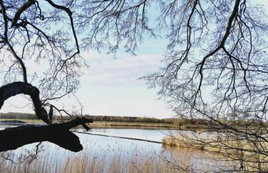 Privatzimmer Landblick - Foto 53