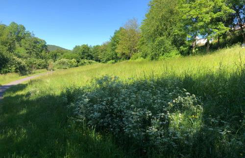 Apartment-47 Fulda - Photo 69