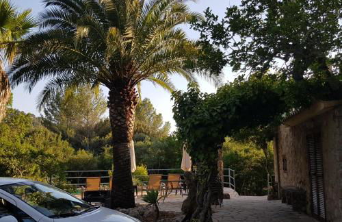 Can Company - Foto 70