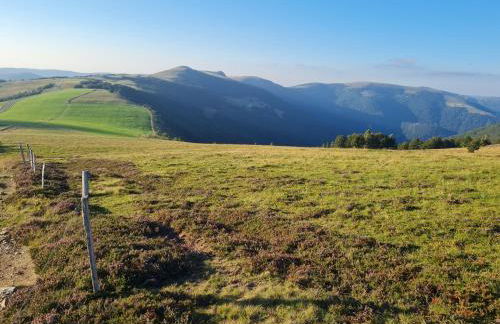 Le Chalet du Tanet spa sauna terrasse en Alsace - Foto 30