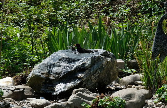 Holiday Apartment Feel-good Time - Photo 4