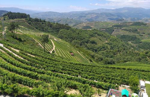 Quinta da Corujeira - Foto 9