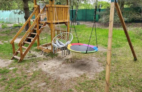 Ackermannia - Foto 30