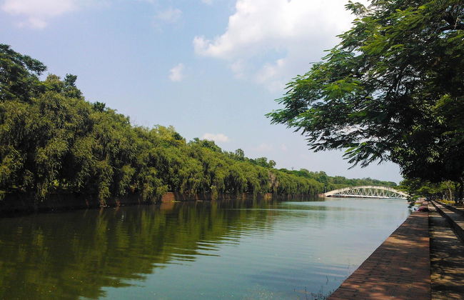 Brook Road Cabin - Photo 32