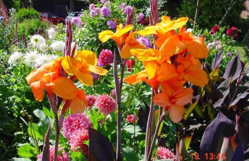 agroturystyka Orzechowe Wzgórze - Foto 55