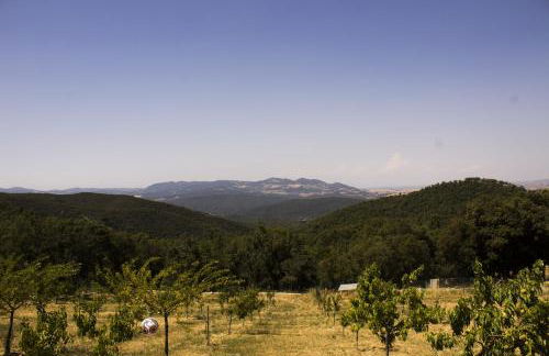 Agriturismo Aia Leccioni - Foto 46