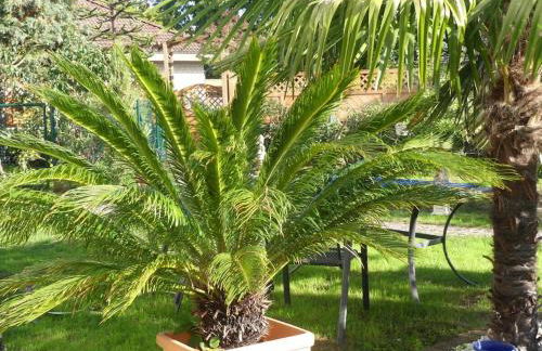 Guesthouse König - Foto 10