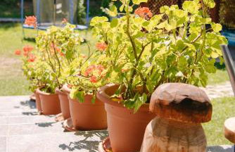 Family friendly house with a parking space Hreljin Ogulinski, Gorski kotar - 23162 - Foto 23