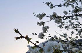 Appartamento L'Airone Cenerino - Foto 39